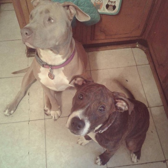 Meet your Posher, Miranda - Picture 1 of 1